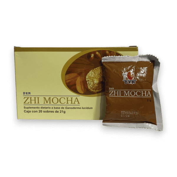 ZHI MOCHA - Image 3