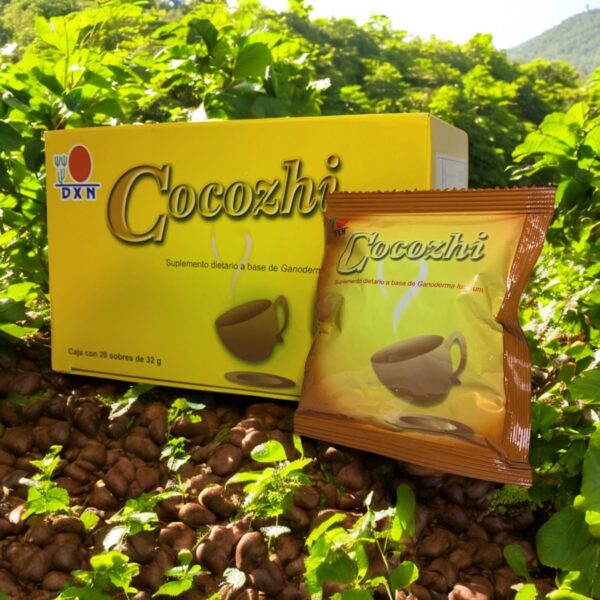 COCOZHI - Image 4