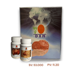 KIT PREMIUM